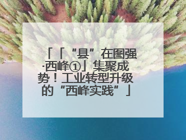 「“县”在图强·西峰①」集聚成势！工业转型升级的“西峰实践”