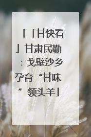 「甘快看」甘肃民勤：戈壁沙乡孕育“甘味”领头羊