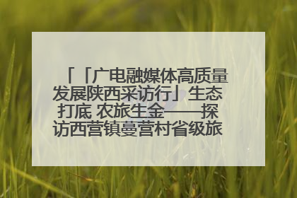 「广电融媒体高质量发展陕西采访行」生态打底 农旅生金——探访西营镇蔓营村省级旅游示范村的振兴密码