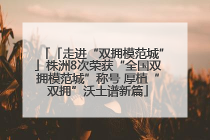 「走进“双拥模范城”」株洲8次荣获“全国双拥模范城”称号 厚植“双拥”沃土谱新篇