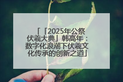 「2025年公祭伏羲大典」韩高年：数字化浪潮下伏羲文化传承的创新之道