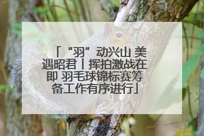 “羽”动兴山 美遇昭君丨挥拍激战在即 羽毛球锦标赛筹备工作有序进行