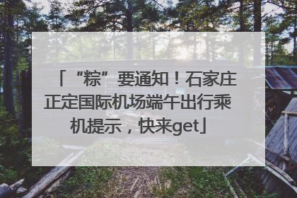 “粽”要通知！石家庄正定国际机场端午出行乘机提示，快来get
