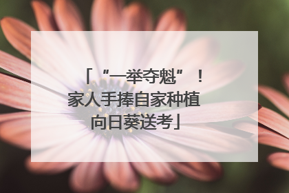 “一举夺魁”！家人手捧自家种植向日葵送考