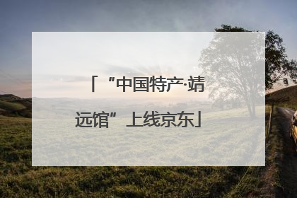 “中国特产·靖远馆”上线京东