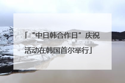 “中日韩合作日”庆祝活动在韩国首尔举行
