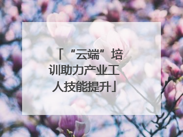 “云端”培训助力产业工人技能提升