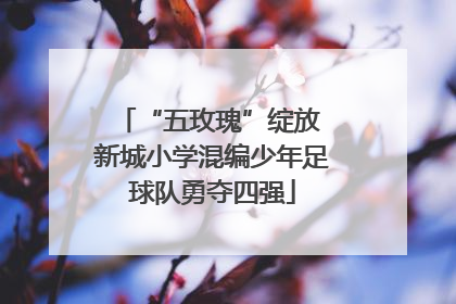 “五玫瑰”绽放 新城小学混编少年足球队勇夺四强