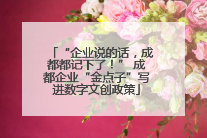 “企业说的话，成都都记下了！” 成都企业“金点子”写进数字文创政策