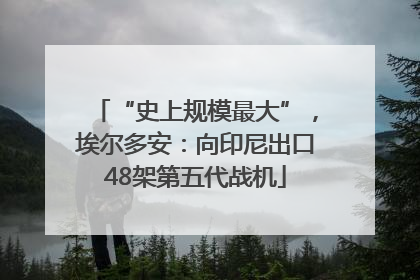 “史上规模最大”，埃尔多安：向印尼出口48架第五代战机