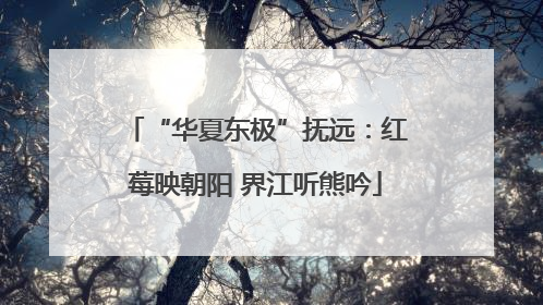“华夏东极”抚远：红莓映朝阳 界江听熊吟