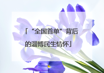 “全国首单”背后的淄博民生情怀