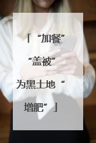 “加餐”“盖被” 为黑土地“增肥”