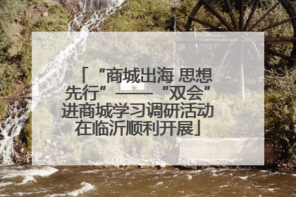 “商城出海 思想先行”——“双会”进商城学习调研活动在临沂顺利开展