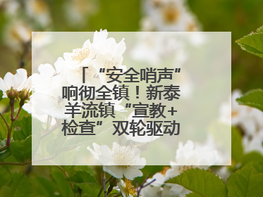 “安全哨声”响彻全镇！新泰羊流镇“宣教+检查”双轮驱动筑牢安全防线