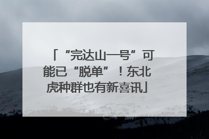 “完达山一号”可能已“脱单”！东北虎种群也有新喜讯