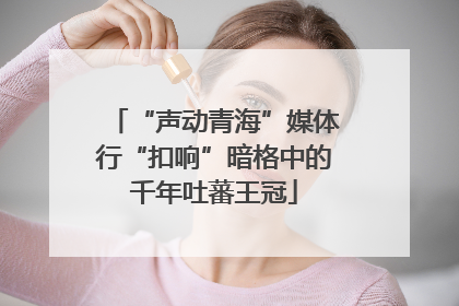 “声动青海”媒体行“扣响”暗格中的千年吐蕃王冠