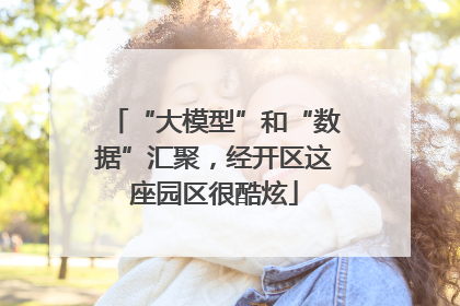 “大模型”和“数据”汇聚，经开区这座园区很酷炫