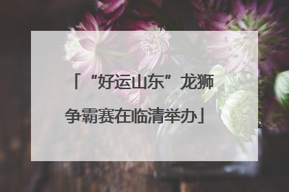“好运山东”龙狮争霸赛在临清举办