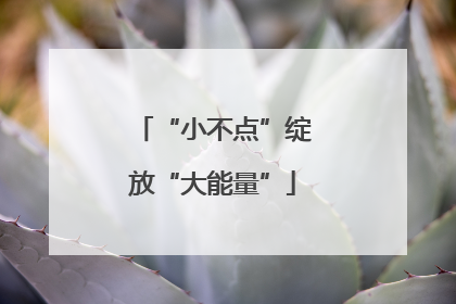 “小不点”绽放“大能量”