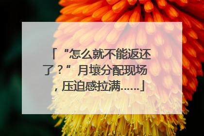“怎么就不能返还了？”月壤分配现场，压迫感拉满……