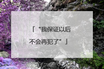 “我保证以后不会再犯了”