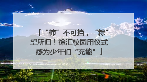 “柿”不可挡，“粽”望所归！徐汇校园用仪式感为少年们“充能”