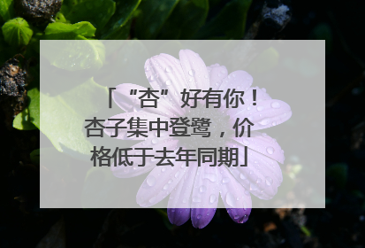 “杏”好有你！杏子集中登鹭，价格低于去年同期