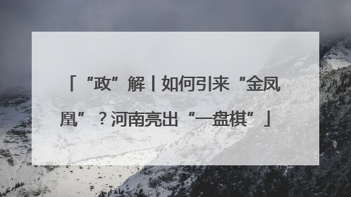 “政”解丨如何引来“金凤凰”？河南亮出“一盘棋”
