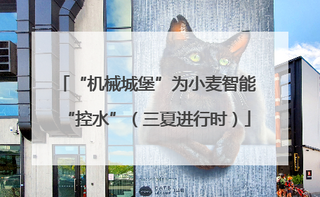 “机械城堡”为小麦智能“控水”（三夏进行时）