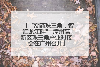 “潮涌珠三角，智汇龙江畔” 漳州高新区珠三角产业对接会在广州召开