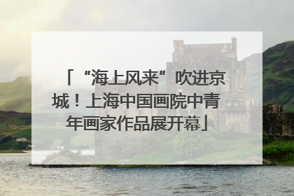 “海上风来”吹进京城！上海中国画院中青年画家作品展开幕
