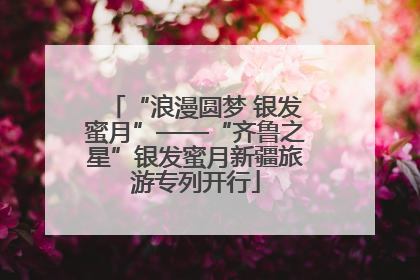 “浪漫圆梦 银发蜜月”——“齐鲁之星”银发蜜月新疆旅游专列开行