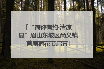 “荷你有约·清凉一夏”眉山东坡区尚义镇首届荷花节启幕