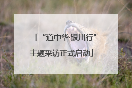 “道中华·银川行”主题采访正式启动