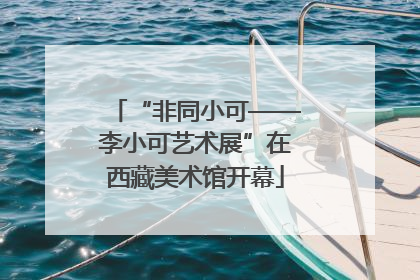 “非同小可——李小可艺术展”在西藏美术馆开幕