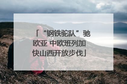 “钢铁驼队”驰欧亚 中欧班列加快山西开放步伐