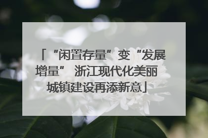 “闲置存量”变“发展增量” 浙江现代化美丽城镇建设再添新意