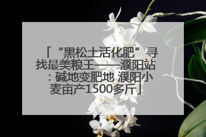 “黑松土活化肥”寻找最美粮王——濮阳站：碱地变肥地 濮阳小麦亩产1500多斤