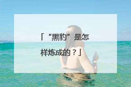 “黑豹”是怎样炼成的？