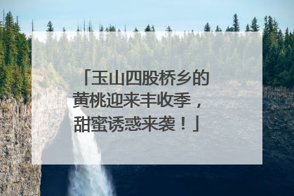 玉山四股桥乡的黄桃迎来丰收季，甜蜜诱惑来袭！