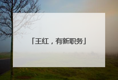王红，有新职务