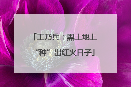 王乃兵：黑土地上“种”出红火日子