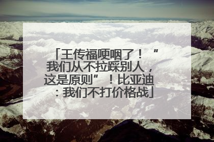 王传福哽咽了！“我们从不拉踩别人，这是原则”！比亚迪：我们不打价格战