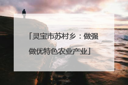 灵宝市苏村乡：做强做优特色农业产业