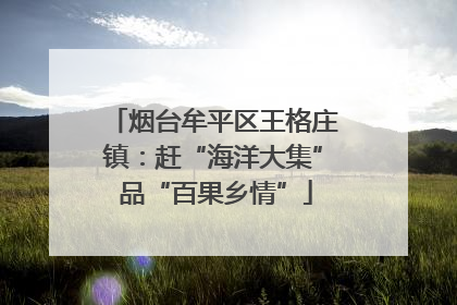 烟台牟平区王格庄镇：赶“海洋大集” 品“百果乡情”