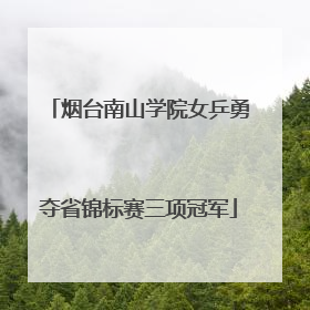 烟台南山学院女乒勇夺省锦标赛三项冠军