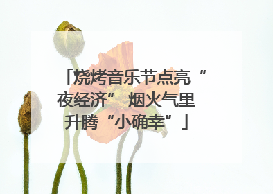 烧烤音乐节点亮“夜经济” 烟火气里升腾“小确幸”