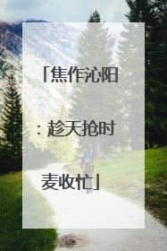 焦作沁阳：趁天抢时麦收忙
