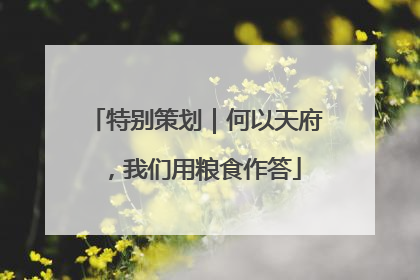 特别策划｜何以天府，我们用粮食作答